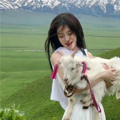 抵达之谜 海报